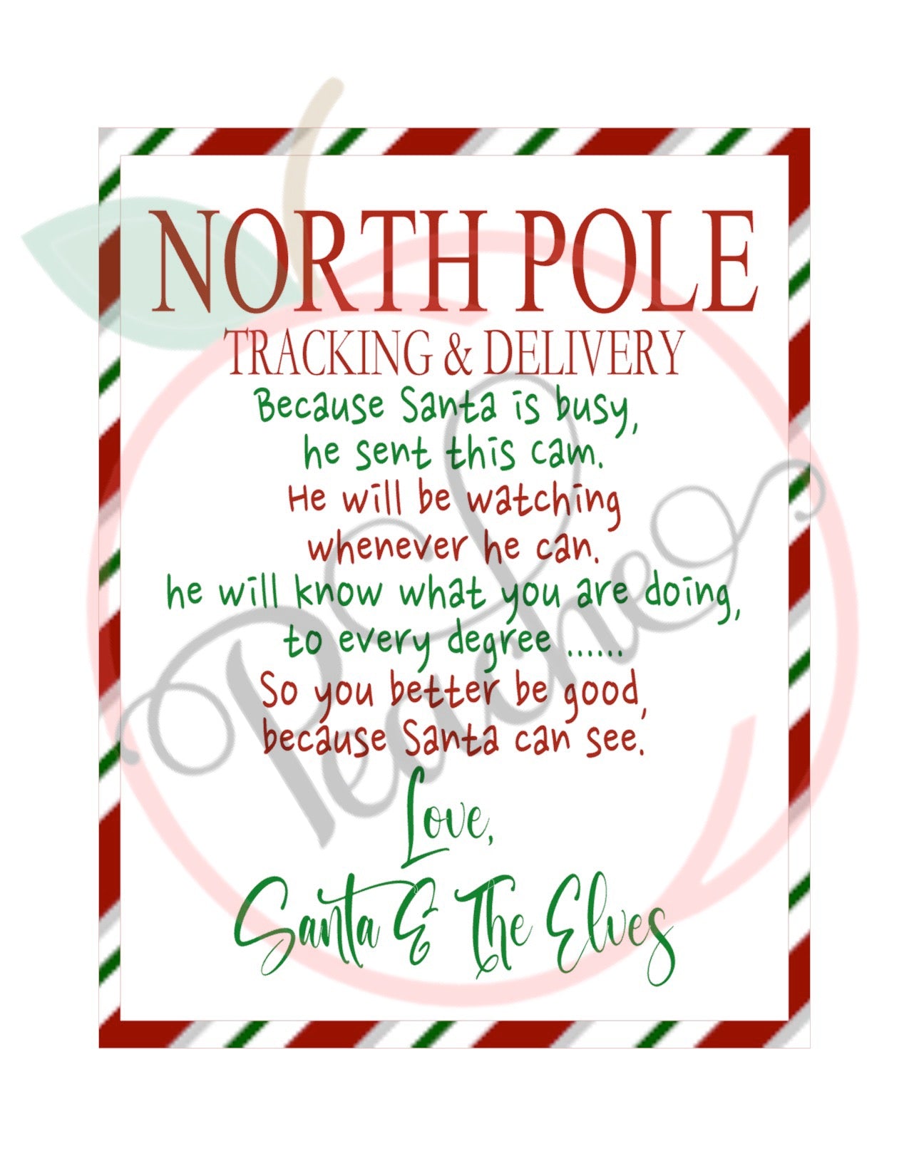 RTS Santa Cam (Real Lense)