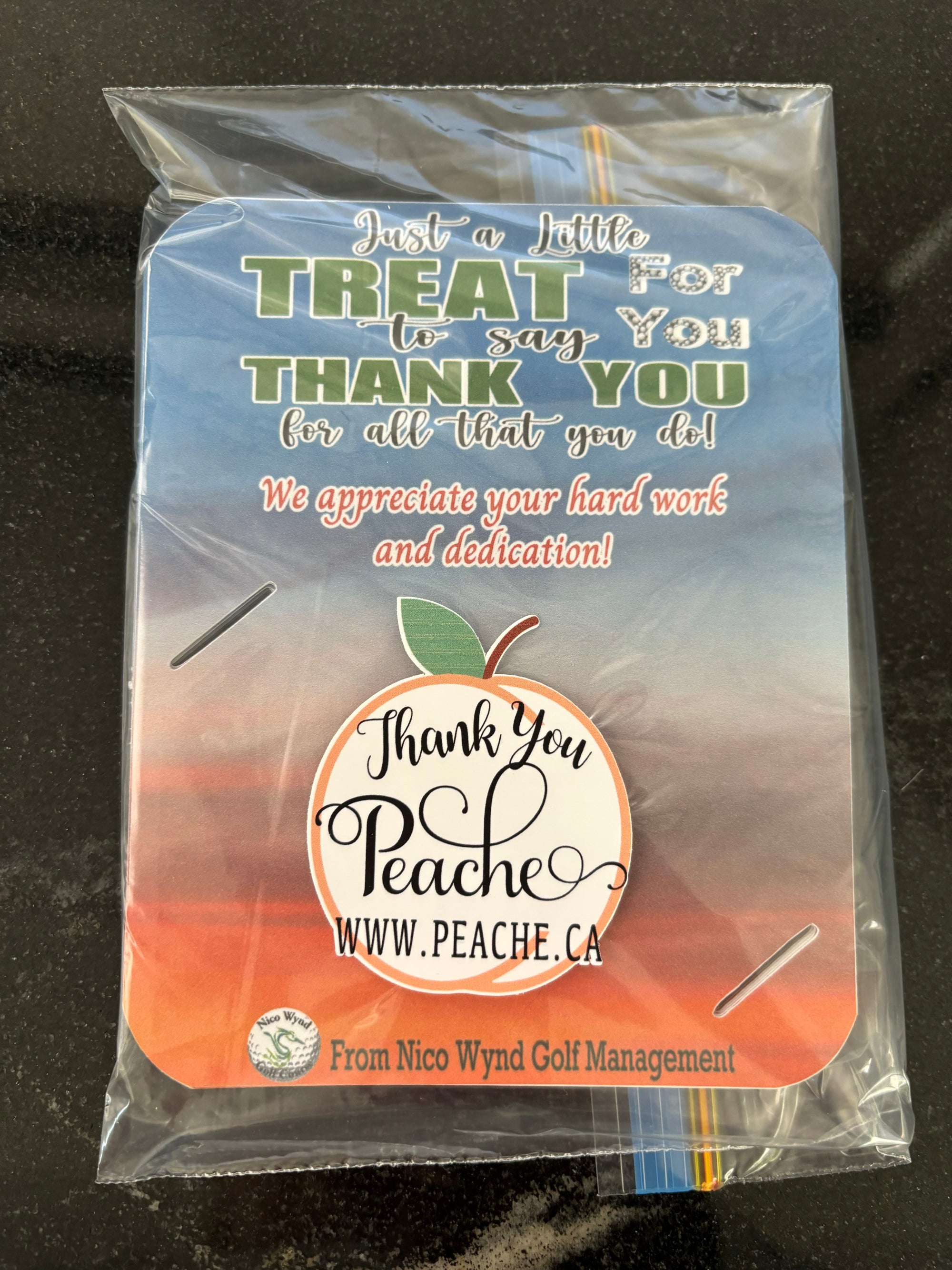 Single Sided Matte Gift Card Holder